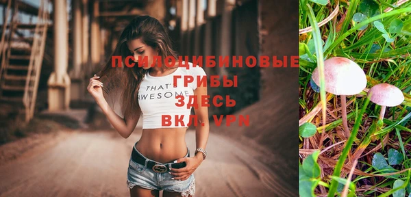 2c-b Армянск