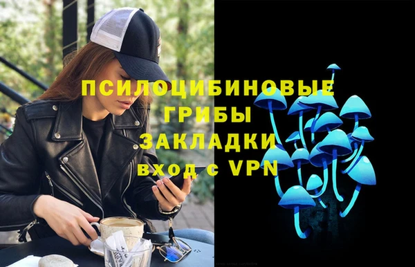 дмт Аркадак