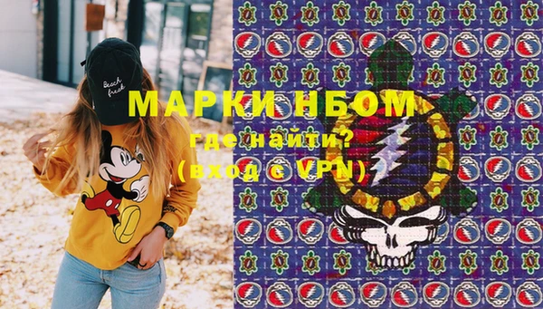 стаф Семикаракорск