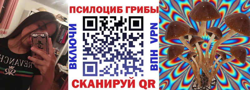 Галлюциногенные грибы Psilocybe  закладка  Арск 